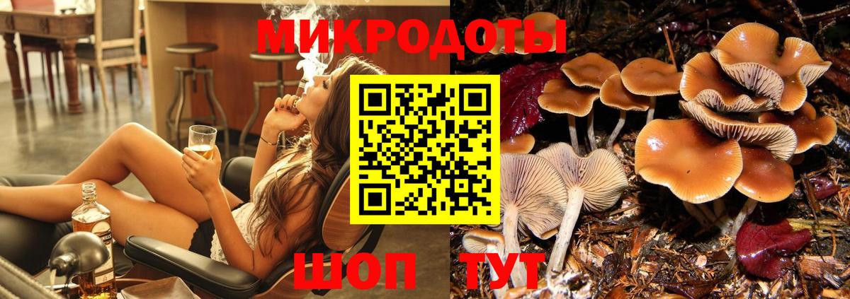 Коломна  как найти   Вход с VPN  Псилоцибиновые грибы мухоморы 